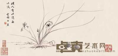 白蕉 兰花 镜心 51×24cm